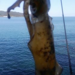 厳しさは変わらず？