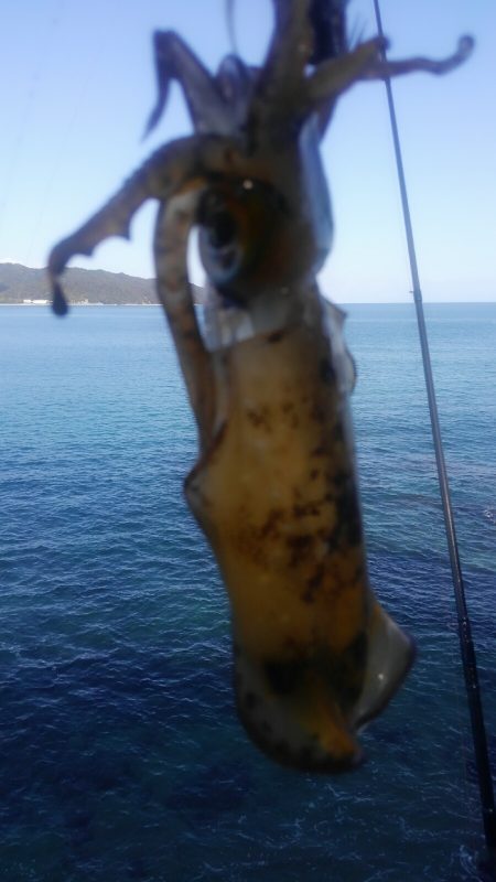 厳しさは変わらず？