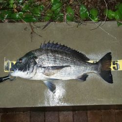 アメニモマケズ　~辰巳橋~