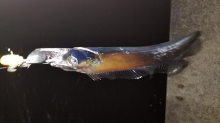 お土産ゲッツなるか