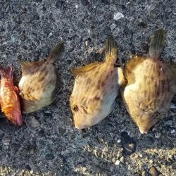 ハギングっていうのかな?