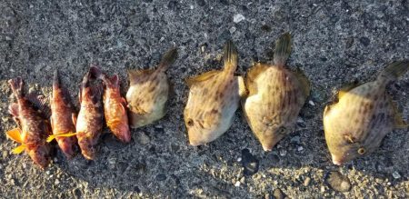 ハギングっていうのかな？