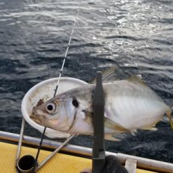 つり幸　アジ船