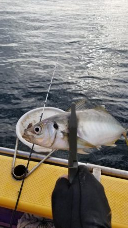 つり幸　アジ船