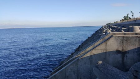 パイセンと人工島釣行