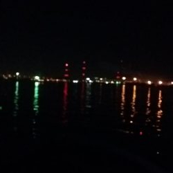 タチウオ上昇中