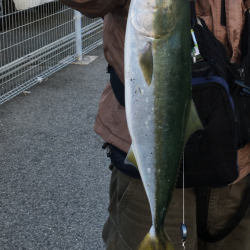 終わり良ければ全て良し