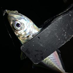 アーバンサイドアジング