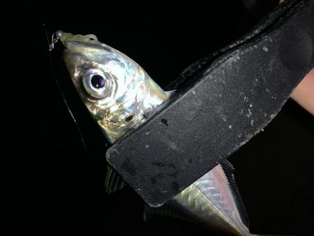 アーバンサイドアジング