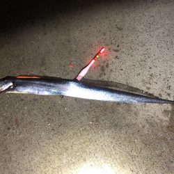 初のポイントで