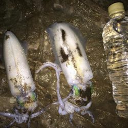 スーパーシャロー