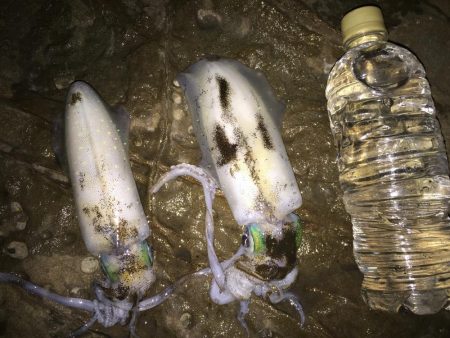 スーパーシャロー