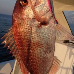 ジギング　キャスティング