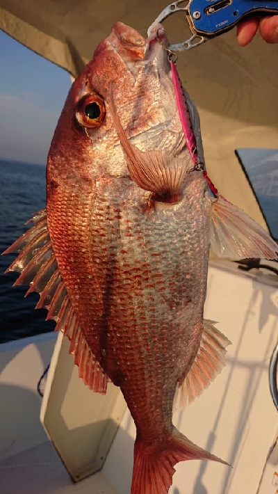 ジギング　キャスティング