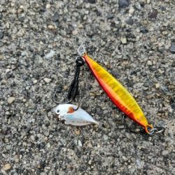 能登半島で五目