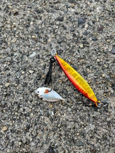 能登半島で五目