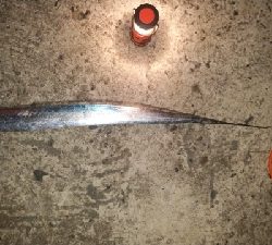 思ったより釣れず