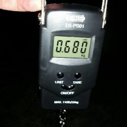 朝マズメ前に1杯