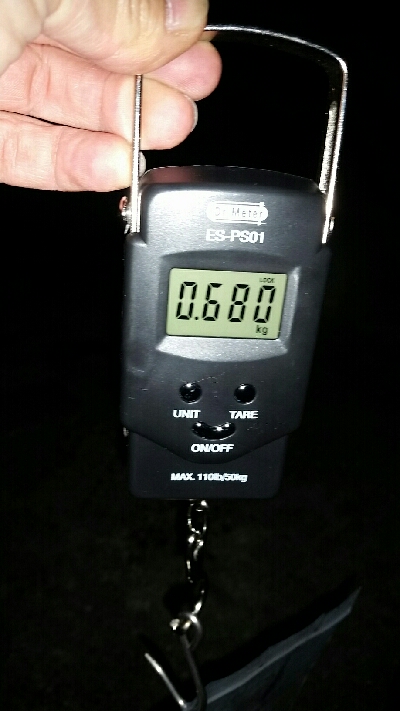 朝マズメ前に1杯