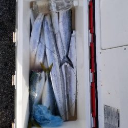 まだまだいける。