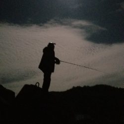 久しぶりのエギング❗