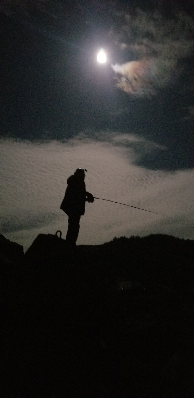 久しぶりのエギング❗