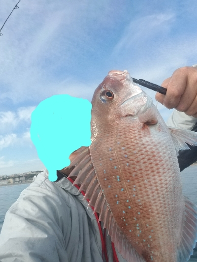 明石、タイラバ、ジギング