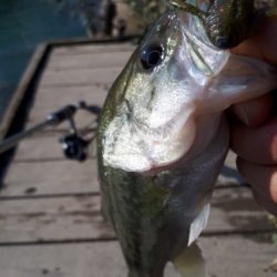 川辺ワンド攻略！！