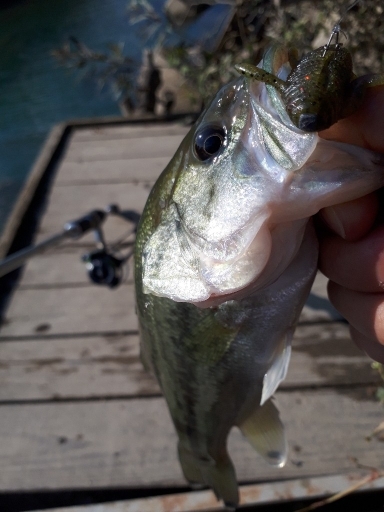 川辺ワンド攻略！！