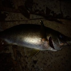 爆風の隠岐の島