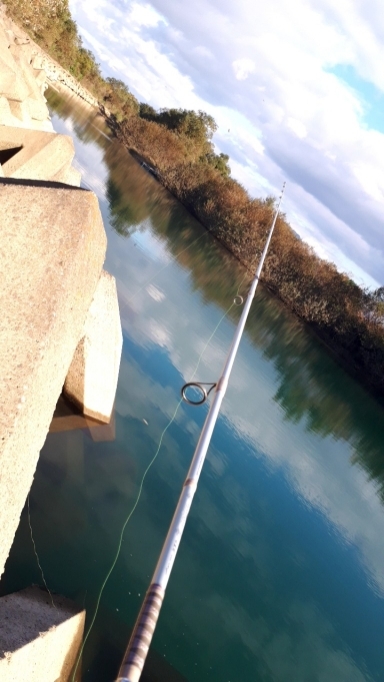 紀の川川辺ワンド釣行