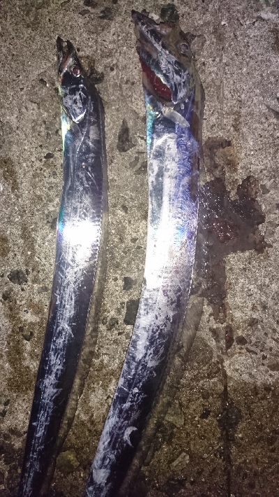 令和初の刀狩り行ってみた！