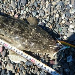 春野漁港周辺サーフ、ライトショアジギング