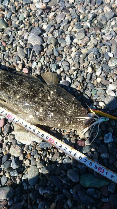 春野漁港周辺サーフ、ライトショアジギング