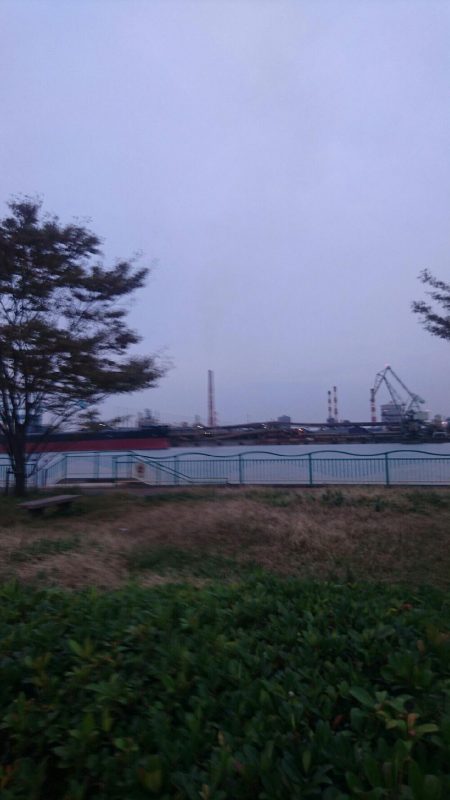 2日連続サヨリフィーバー