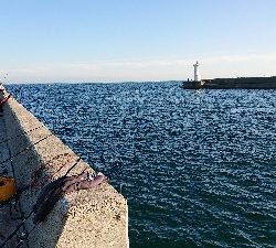 五目釣りとコフダイ釣り