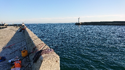 五目釣りとコフダイ釣り
