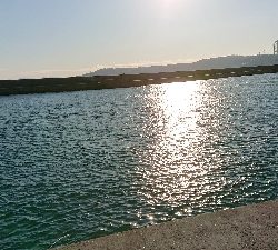 コフダイ釣り2年ぶりの70センチ超