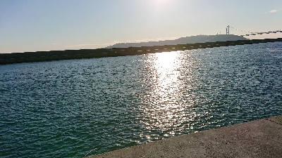 コフダイ釣り2年ぶりの70センチ超