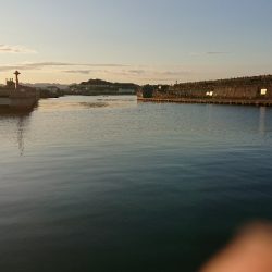 リベンジ釣行！in 田辺