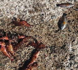 日帰り旅行ついでに