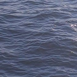 渋かったけど・・・