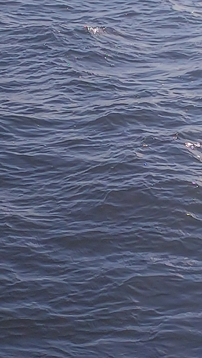 渋かったけど・・・