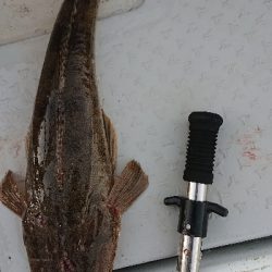 ボートエギング！