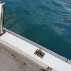 ボートキャスティング