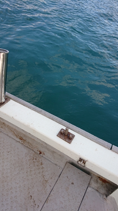 ボートキャスティング