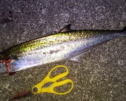 エエ感じの1時間