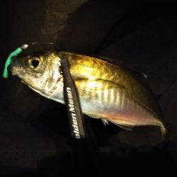 狙いにハマった釣り