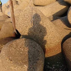 青物今日はお休み?