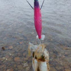 午後からエキング